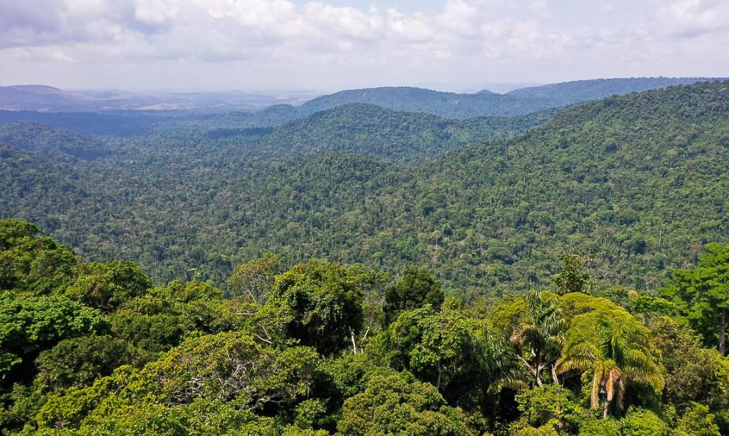 Amazônia