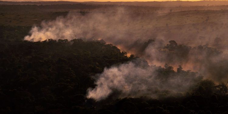 foto: Christian Braga/Greenpeace