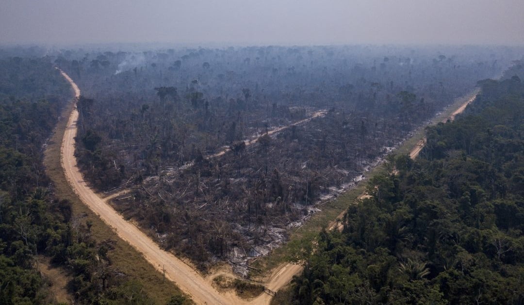 Em evento de sustentabilidade, Marfrig sugere medidas para acabar com cadeia de desmatamento