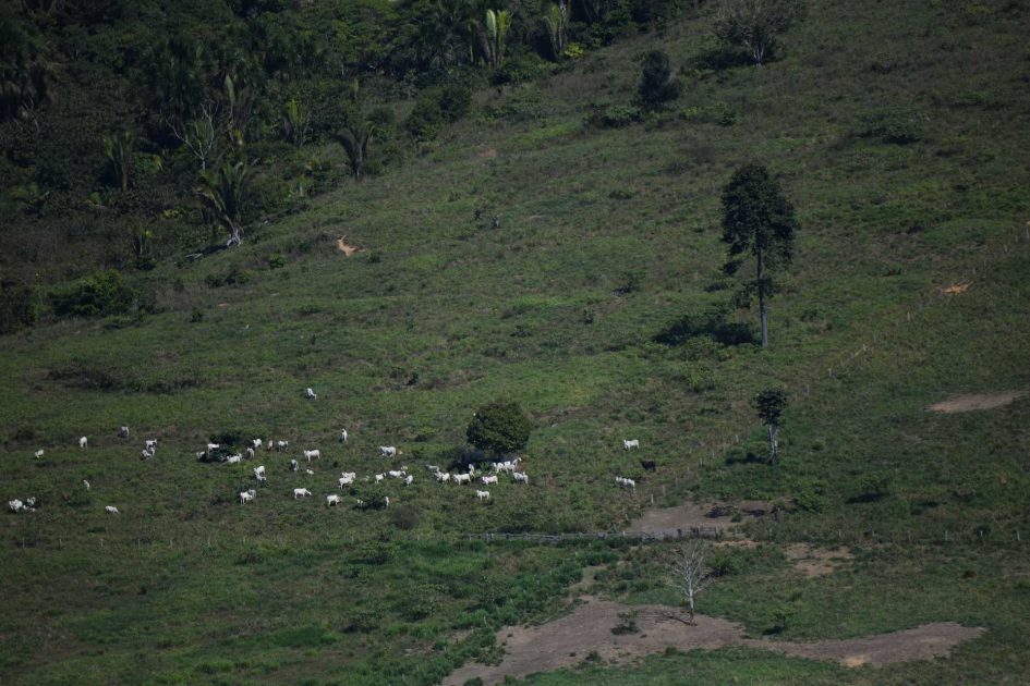 Recuperar pastos degradados para plantar soja pode custar R$ 482 bilhões - mas traz retorno ambiental.