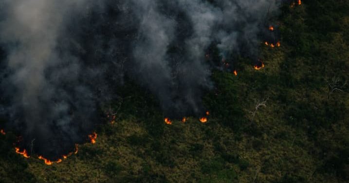 foto: Christian Braga/Greenpeace