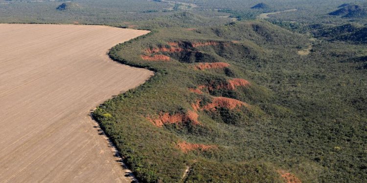 foto: Adriano Hambarini/WWF Brasil