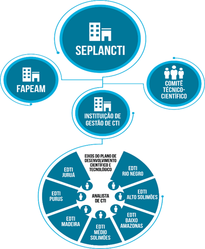 Seplancti FAPEAM Comitê técnico-científico Instituição de Gestão de CTI
Figura 3: Gestão de CT&I