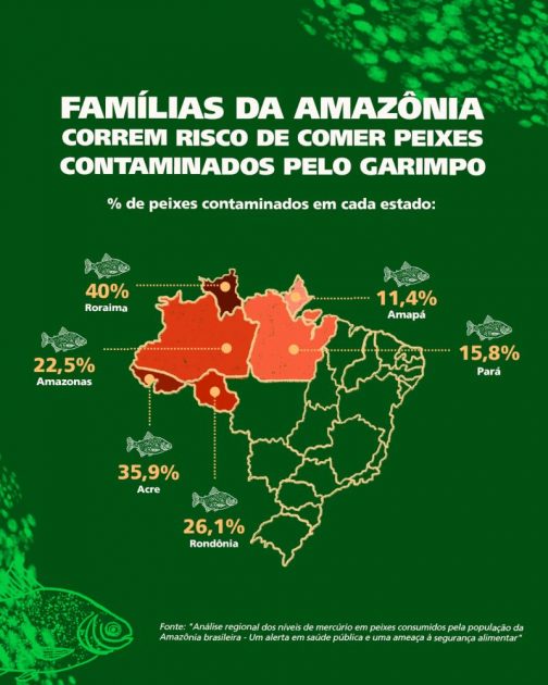 Peixes contaminados na Amazônia