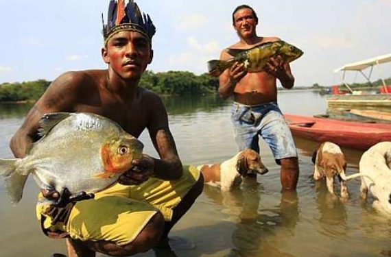 Mercúrio contamina os peixes na Amazônia