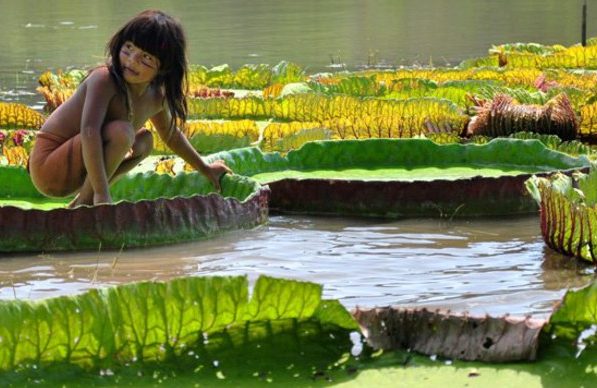 Marco temporal, povos originários