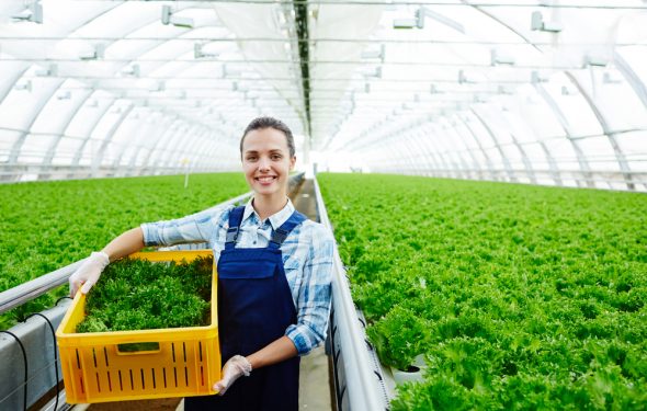 Agronegócio e pequenos agricultores