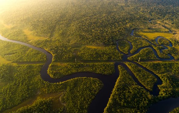 AMAZÔNIA