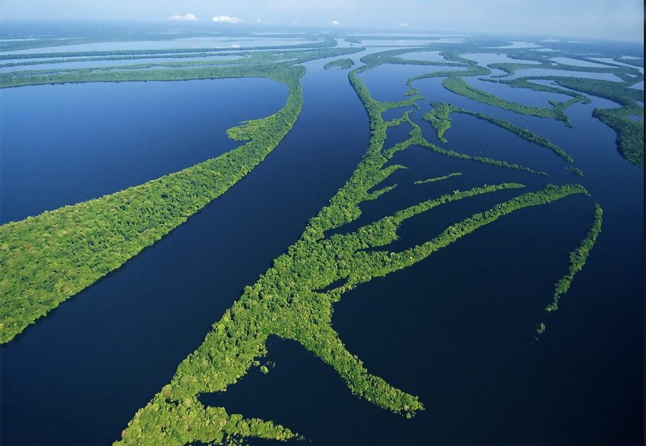 Banco Mundial deveria conhecer a Amazônia