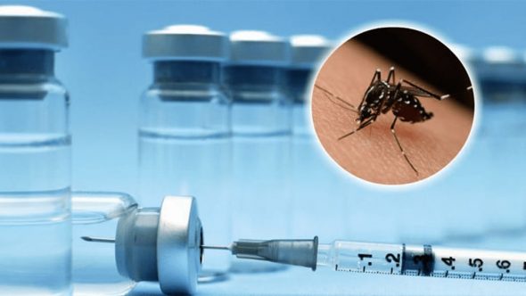 Qdenga, vacina contra dengue chega ao Brasil