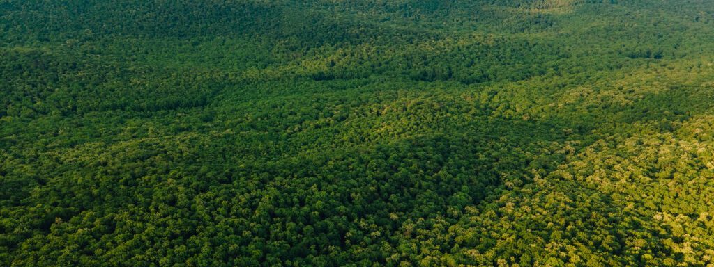 Amazônia recebe menos financiamento de pesquisa do que  outras regiões, aponta estudo