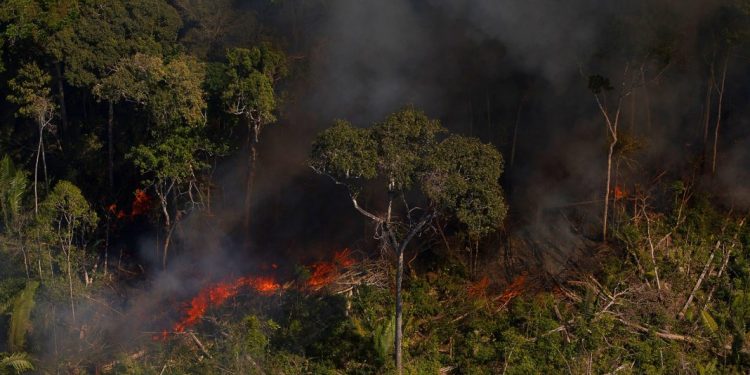 Desmatamento e queimadas em Rondônia. Foto: Bruno Kelly | Amazônia Real