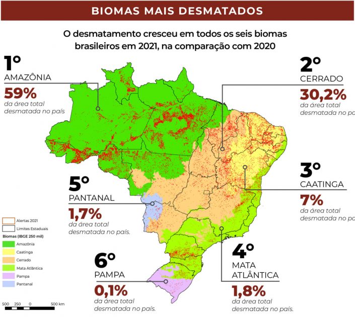 Desmatamento cresceu no Cerrado - Relatório Anual do Desmatamento 2021