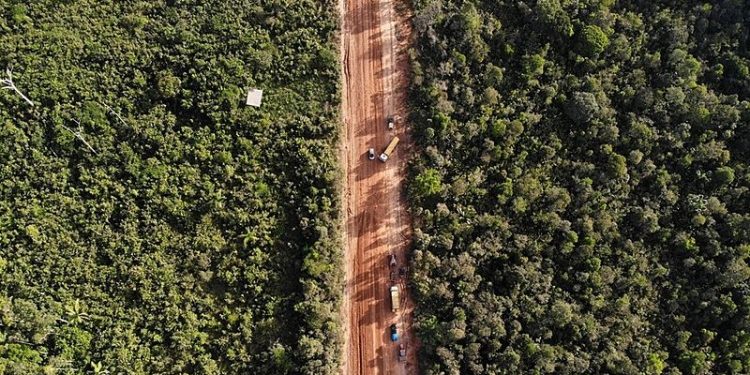 foto: Observatório da BR 319