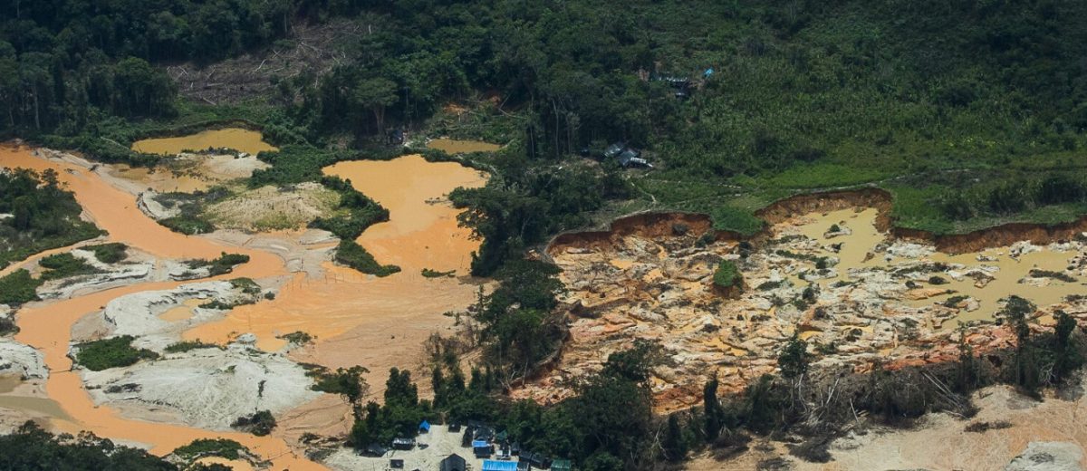 Alerta na Amazônia: Degradação florestal impulsiona ameaça de doenças infecciosas