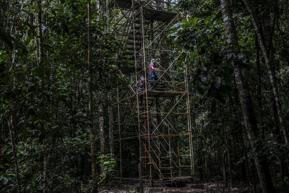 Cientista da INPE diz que "Amazônia não está mais compensando o estrago humano"