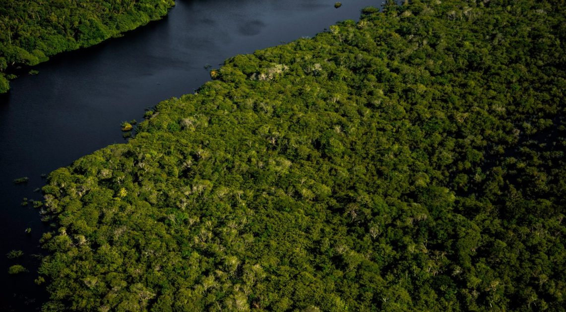 “A ideia da festa não virou fumaça, e as águas vão voltar a rolar. Contra toda a desesperança, e acima de tudo, reflitamos sobre o papel de cada um de nós na construção de uma Amazônia que seja sinônimo de vida, sustentabilidade prosperidade solidária, que não deixa ninguém de fora do mutirão, nem abre mão do protagonismo em comum.”