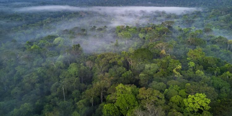 foto: Ignacio Palacios/Getty Images