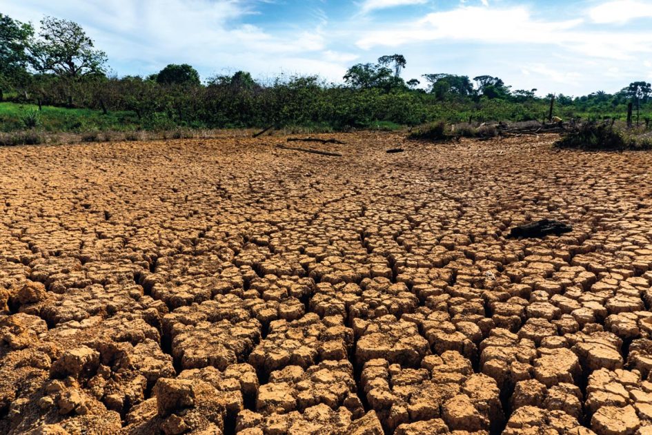 Amazônia: El Niño pode reprisar a seca de 2005?