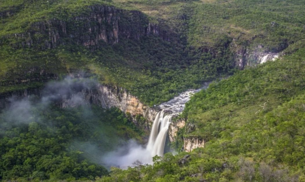 Falta de água: desmatamento no Cerrado causa insegurança hídrica no Brasil