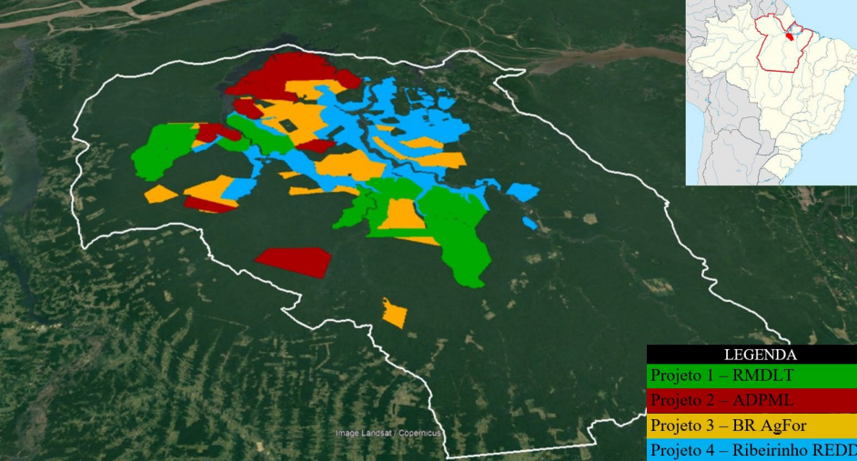 Empresas de crédito de carbono são acusadas de grilagem de terras na Amazônia