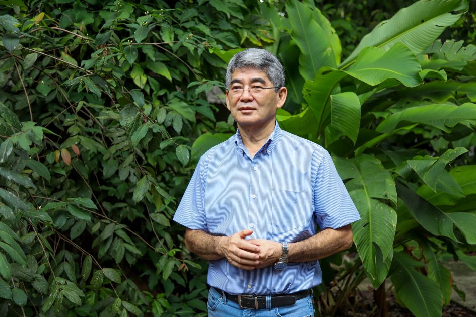 Como a Biomassa Florestal pode ser a chave para o futuro sustentável da Amazônia - entrevista com Niro Higuchi