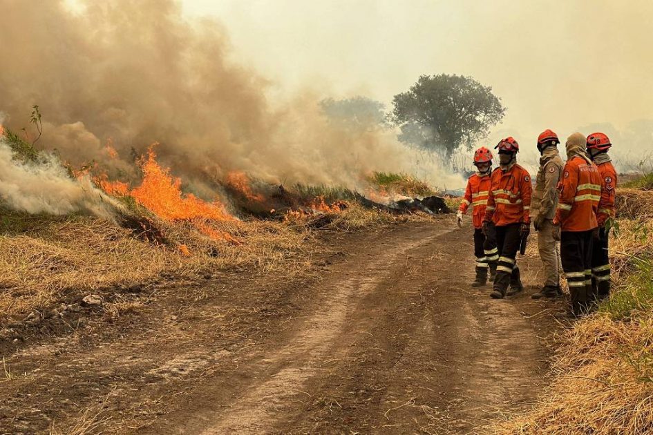 Queimadas e fumaça tomam conta do Pantanal - entenda a causa dos incêndios