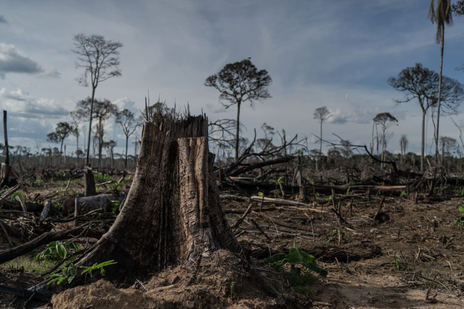 Entenda o papel da Amazônia na regulação do clima do mundo