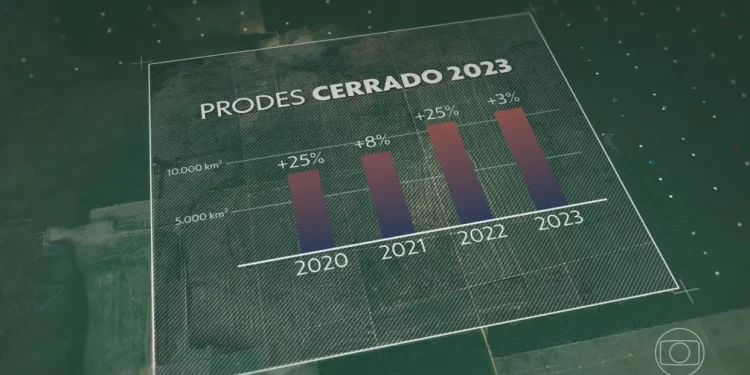 É o quarto ano consecutivo de aumento da derrubada de vegetação nativa no Cerrado — Foto: JN