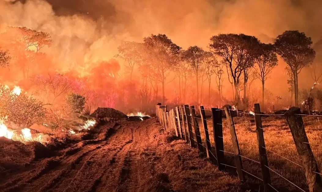 96% dos incêndios no Pantanal já foram controlados, afirma Marina Silva