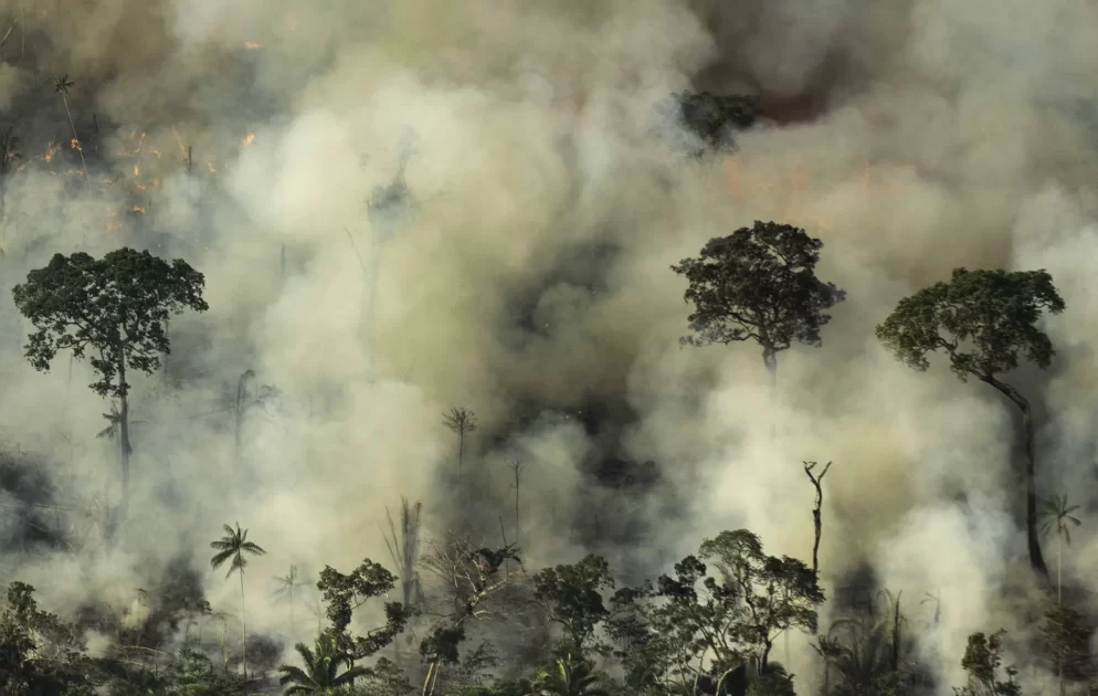 Projeto de Lei Busca Reinventar a Proteção da Amazônia por Meio de Multas Ambientais