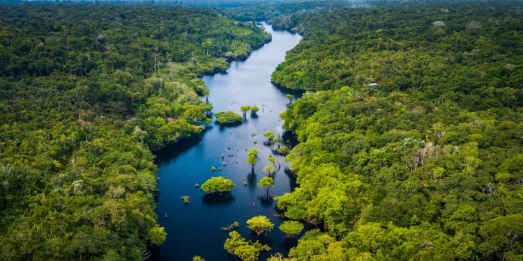 Parque Nacional das Anavilhanas