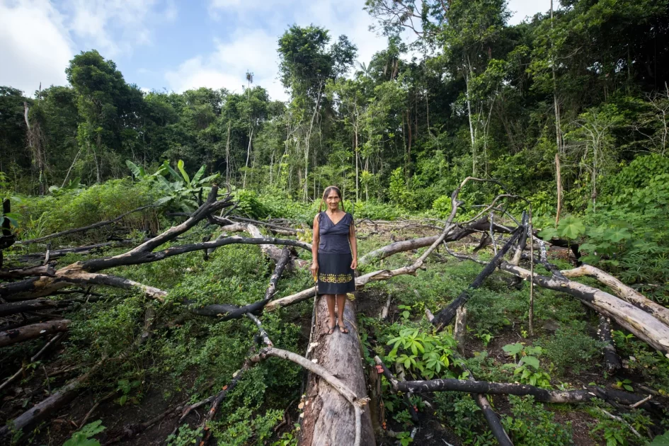 Bioeconomia da Amazônia, chegou a hora do abraço Brasil