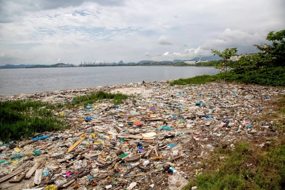 É preciso se questionar por quê as empresas não se responsabilizam pelo plástico que produzem