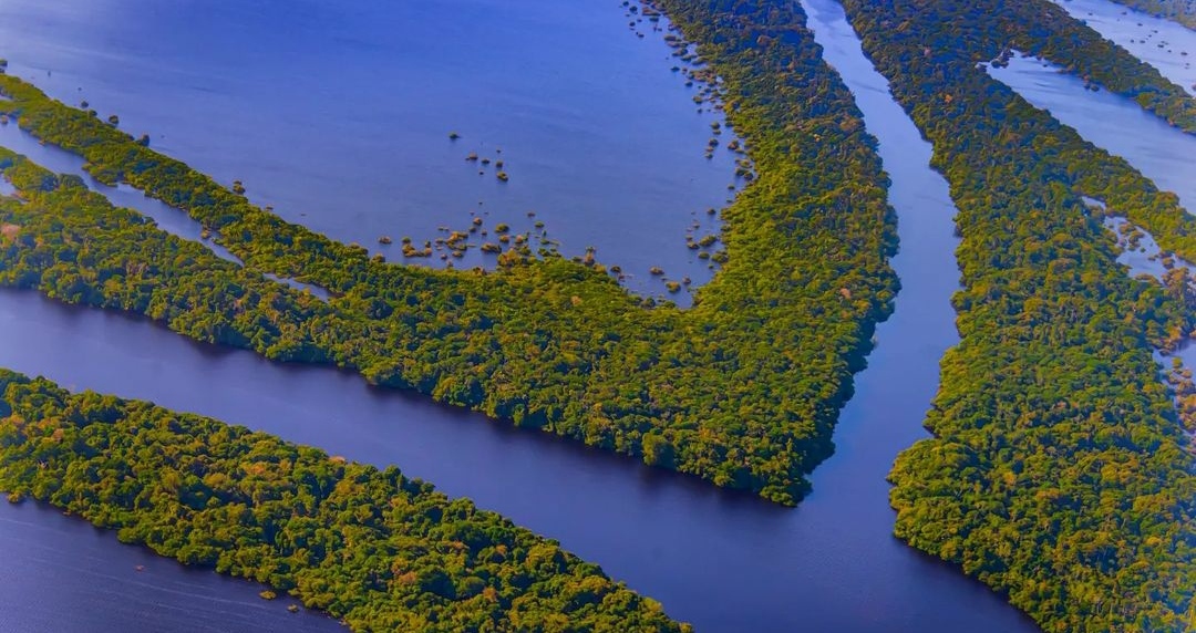 Fundo Amazônia tem R$ 3 Bilhões para novos projetos em meio a recorde de doações internacionais