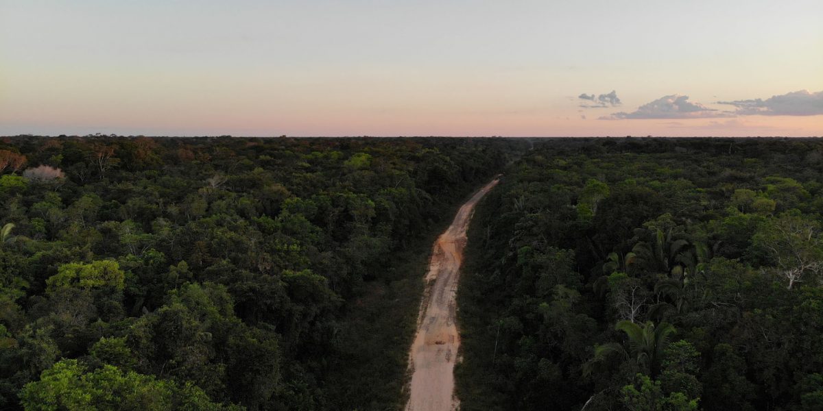 Na Amazônia, depois da Reforma, um Tributo ao Desenvolvimento Regional Sustentável