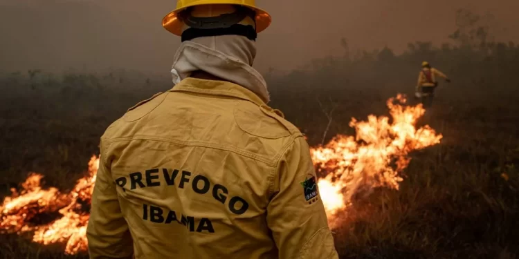 foto: Vinicius Mendonça