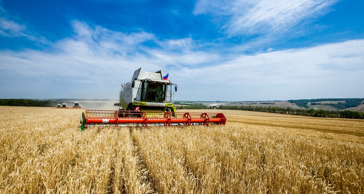 BNDES prepara ampliação de recursos para Agricultura, anúncio esperado para sexta-feira
