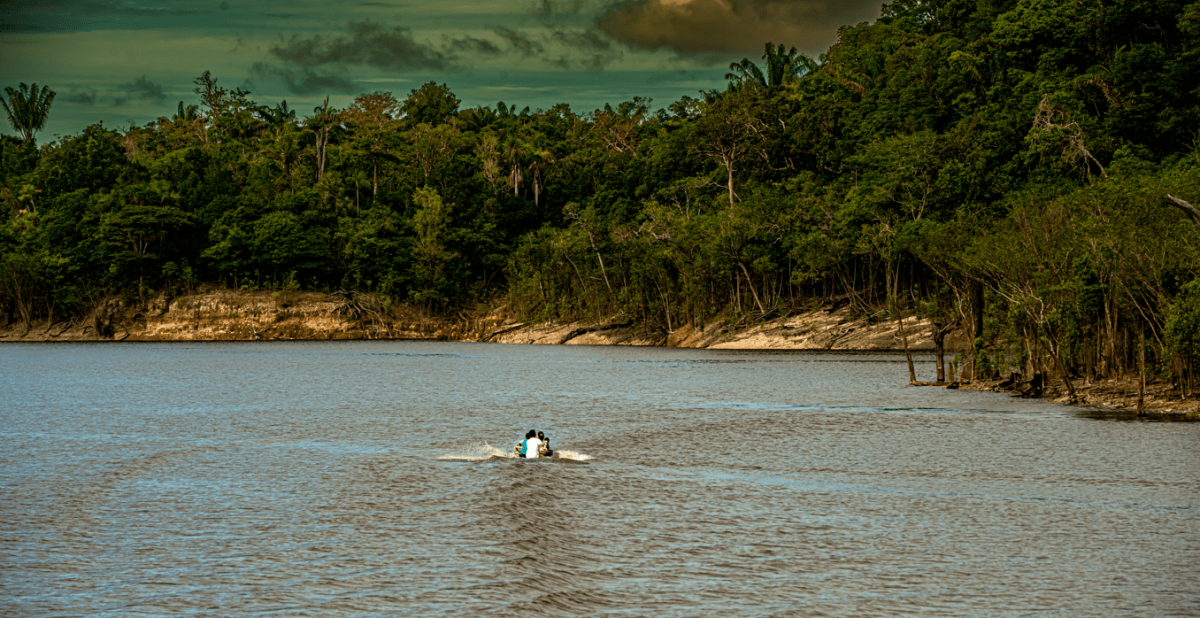 Educação e Ciência, os pilares do futuro sustentável da Amazônia

O Instituto Amazônia+21 está no caminho certo ao propor soluções criativas e inovadoras para os desafios da região. No entanto, é necessário ampliar sua abordagem, incorporando de forma mais ativa os atores locais, especialmente as entidades associativas e a comunidade científica, bem como priorizar a educação como ferramenta fundamental para a formação de uma nova consciência ambiental