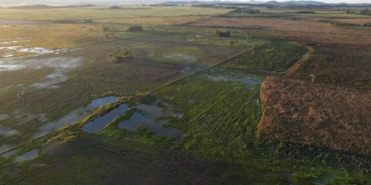 Agricultor já havia sido multado por dano ambiental, em 2016. — Foto: Divulgação/PMA