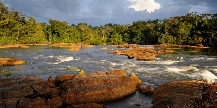 Parque Nacional das Montanhas do Tumucumaque