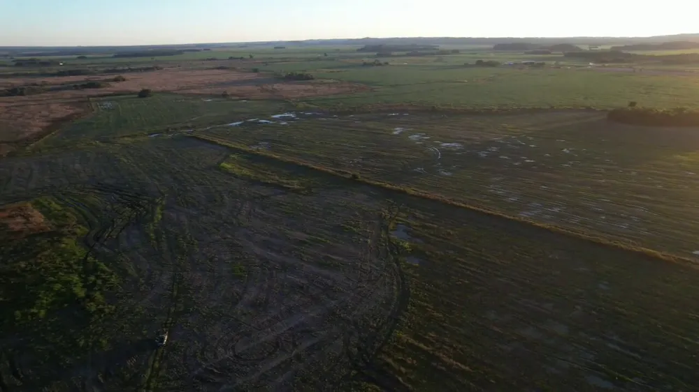 Multa pesada: Fazendeiro do Mato Grosso terá de pagar R$ 1 milhão por desmatamento ilegal