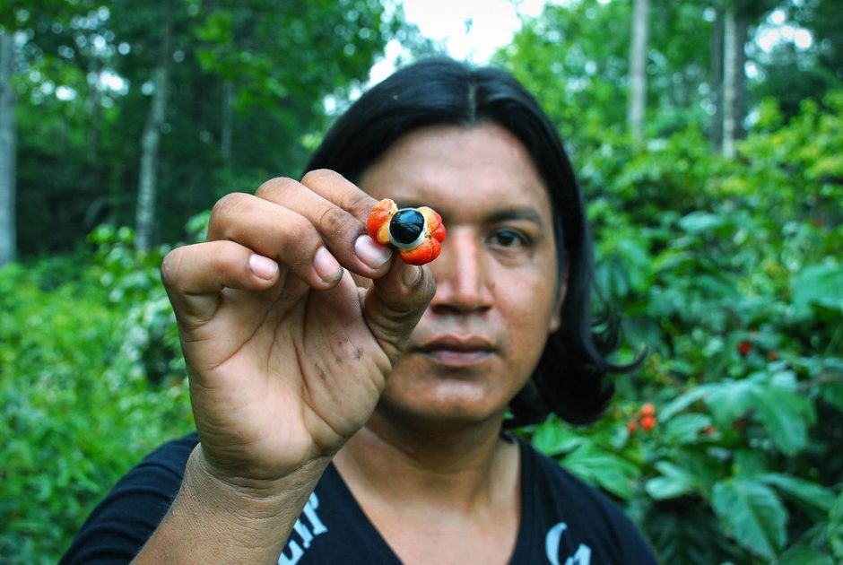 Desafios e oportunidades da Bioeconomia na Amazônia: os tecnólogos e a infraestrutura
