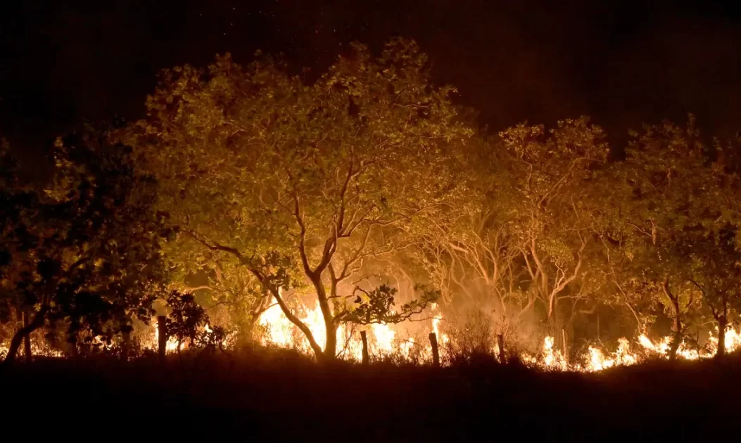 Roraima em chamas: entenda a razão do estado estar passando por recordes de queimadas