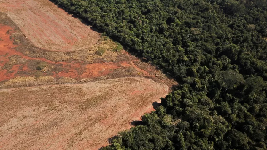 Zara e H&M são acusadas de conexão com desmatamento ilegal no Cerrado e violência no Brasil