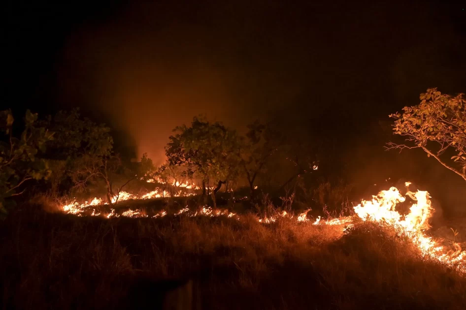 INPE registra números alarmantes de queimadas na Amazônia e no Cerrado