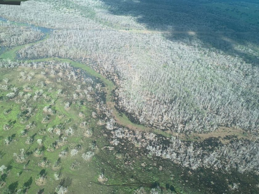 Justiça de MT rejeita prisão de fazendeiro acusado de super desmatamento no Pantanal
