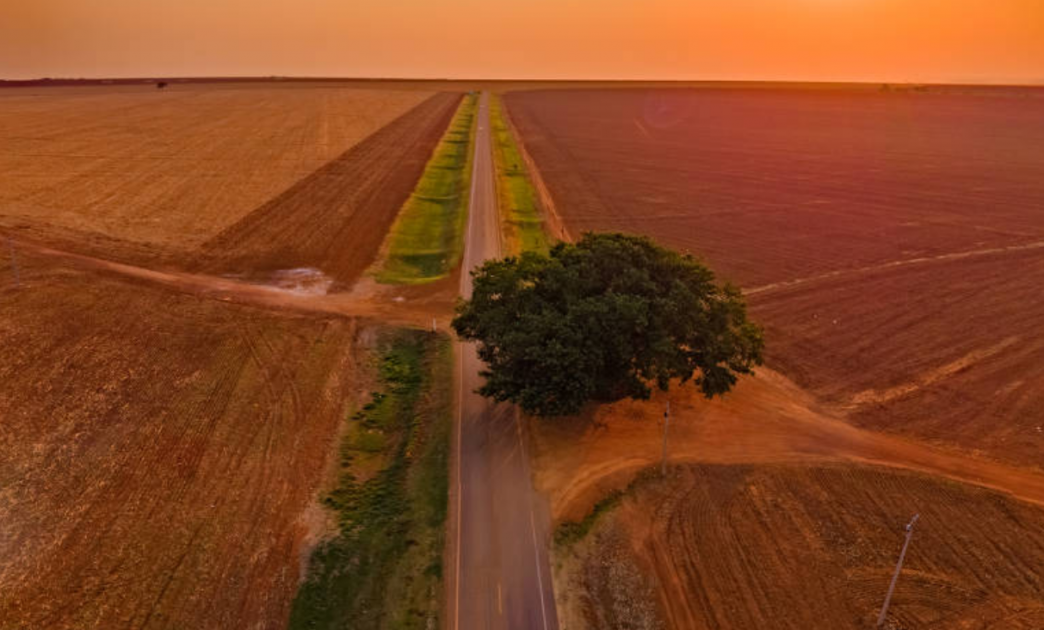 Cientista da USP aponta propostas urgentes para um Brasil em chamas

As sugestões de Paulo Artaxo e da comunidade científica são claras, realistas e urgentes. Elas oferecem um roteiro para reverter o quadro atual e evitar uma catástrofe climática ainda maior. O Brasil tem a chance de se reposicionar como um líder global nas questões ambientais, mas isso exigirá coragem política e um compromisso real com a sustentabilidade.