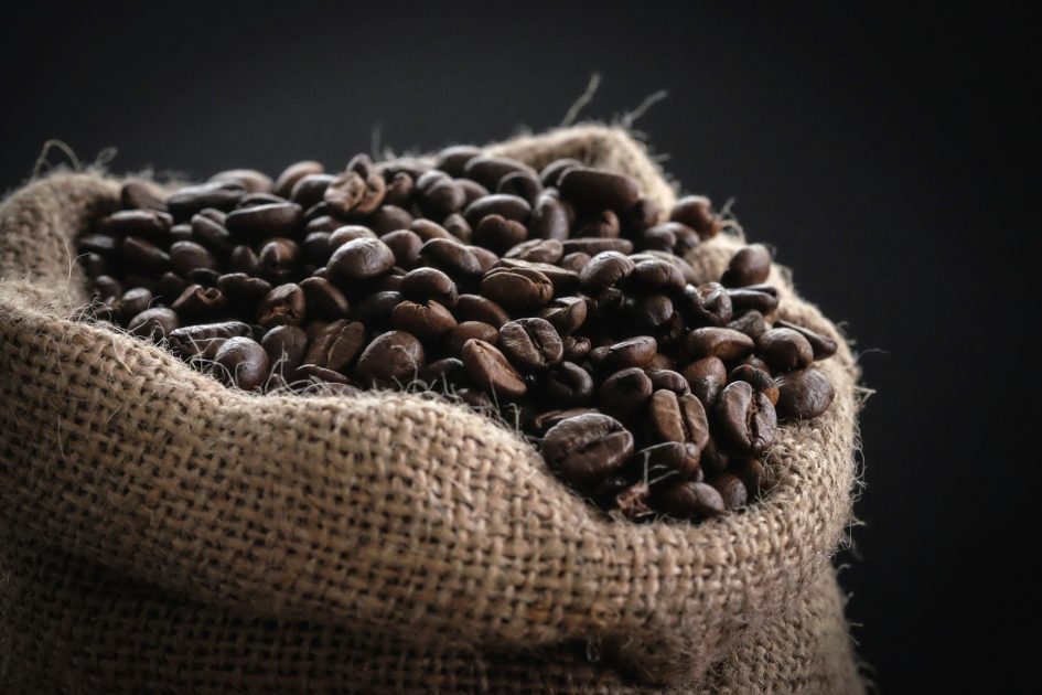 Estudo da Embrapa revela sustentabilidade da cafeicultura na Amazônia: Produção cresce sem desmatamento