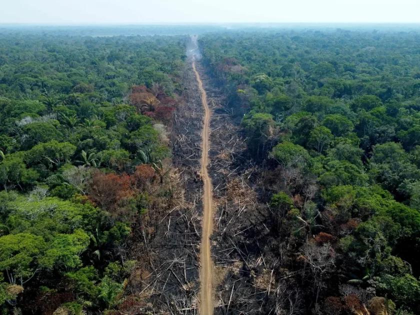 Em meio a críticas sobre a condução da extraordinária crise ambiental que toma conta do Brasil, governo estuda confiscar terras e cria nova entidade estatal para maior controle das questões climáticas